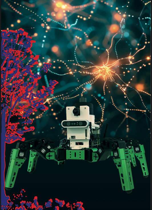 Graphics Artwork édition special 004